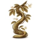 Ayahuasca (Caapi only)